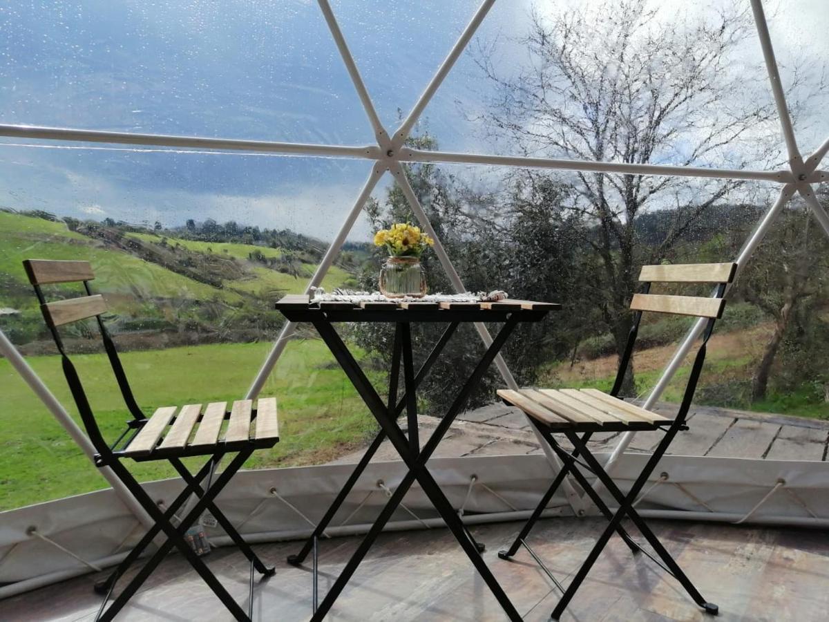 Glamping Quintana Hotel Хихон Екстериор снимка